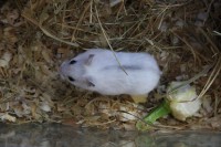 /album/fenykepgaleria/img-6729-jpg/